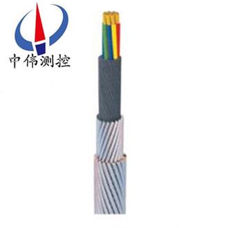 承荷(he)探(tan)測電纜(lan)