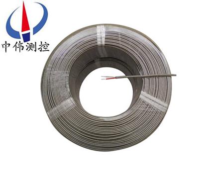 耐熱(re)500℃儀(yi)錶專(zhuan)用(yong)線(xian)