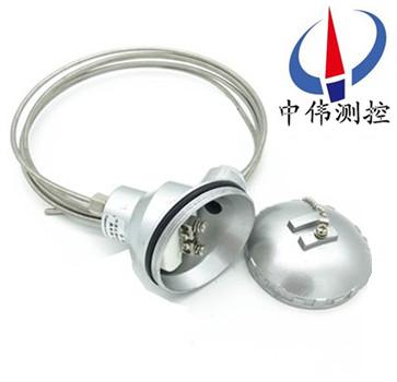 鎧(kai)裝(zhuang)熱電(dian)阻(zu)