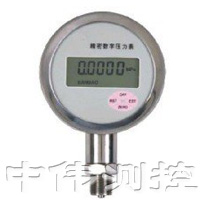 精(jing)密數(shu)字壓力錶