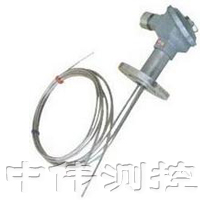 多點防(fang)爆熱電偶