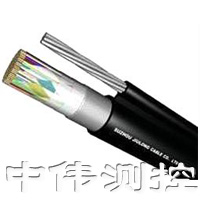 屏(ping)蔽信(xin)號電(dian)纜