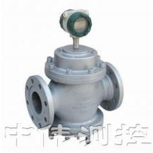 智能(neng)雙轉子(zi)流(liu)量計(ji)